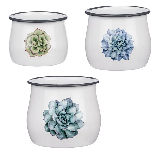 Enamel Succulent Mini Planter (3 pc. set)