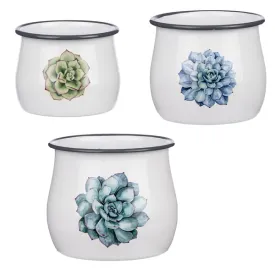 Enamel Succulent Mini Planter (3 pc. set)