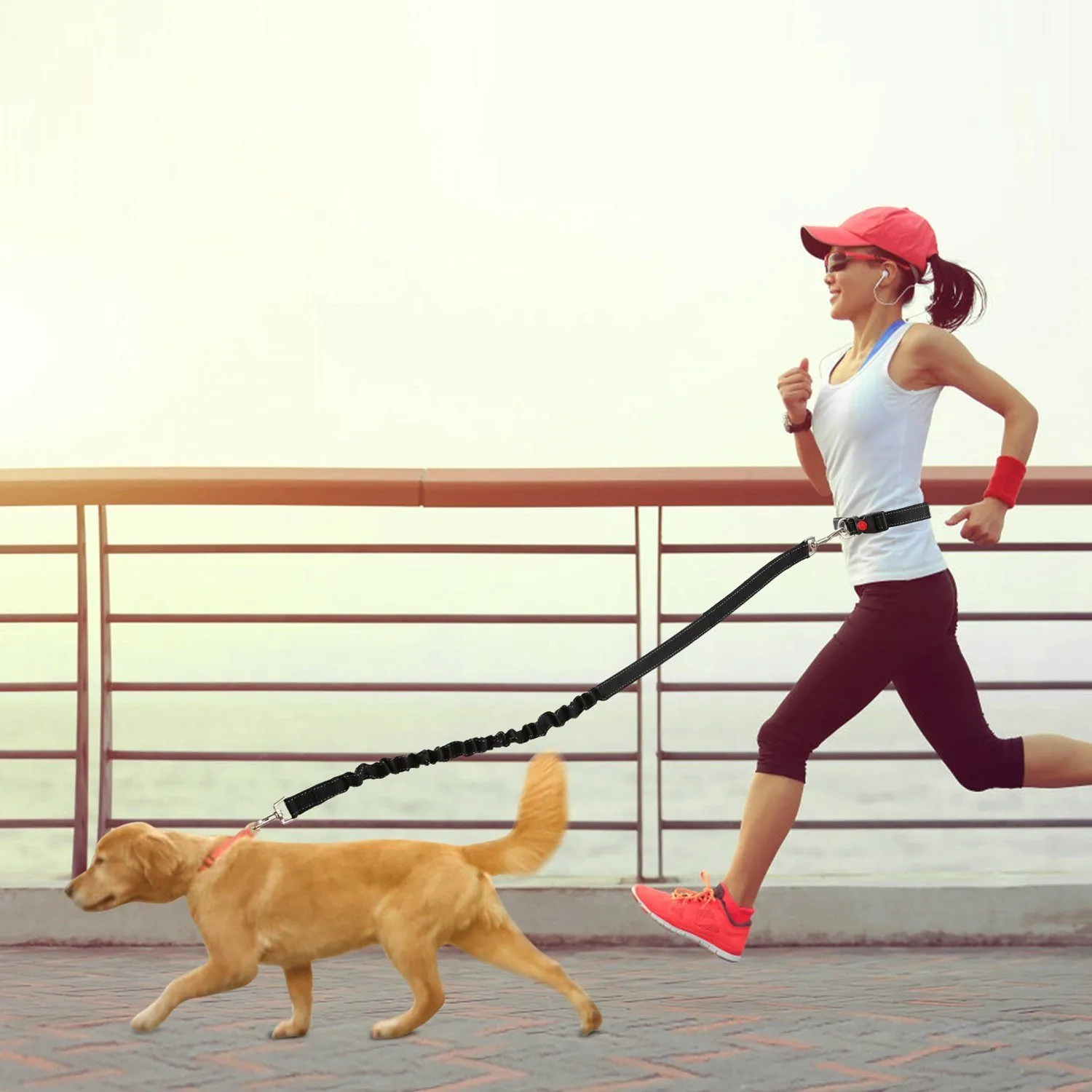 Hands Free Dogs Leash Waist Belt