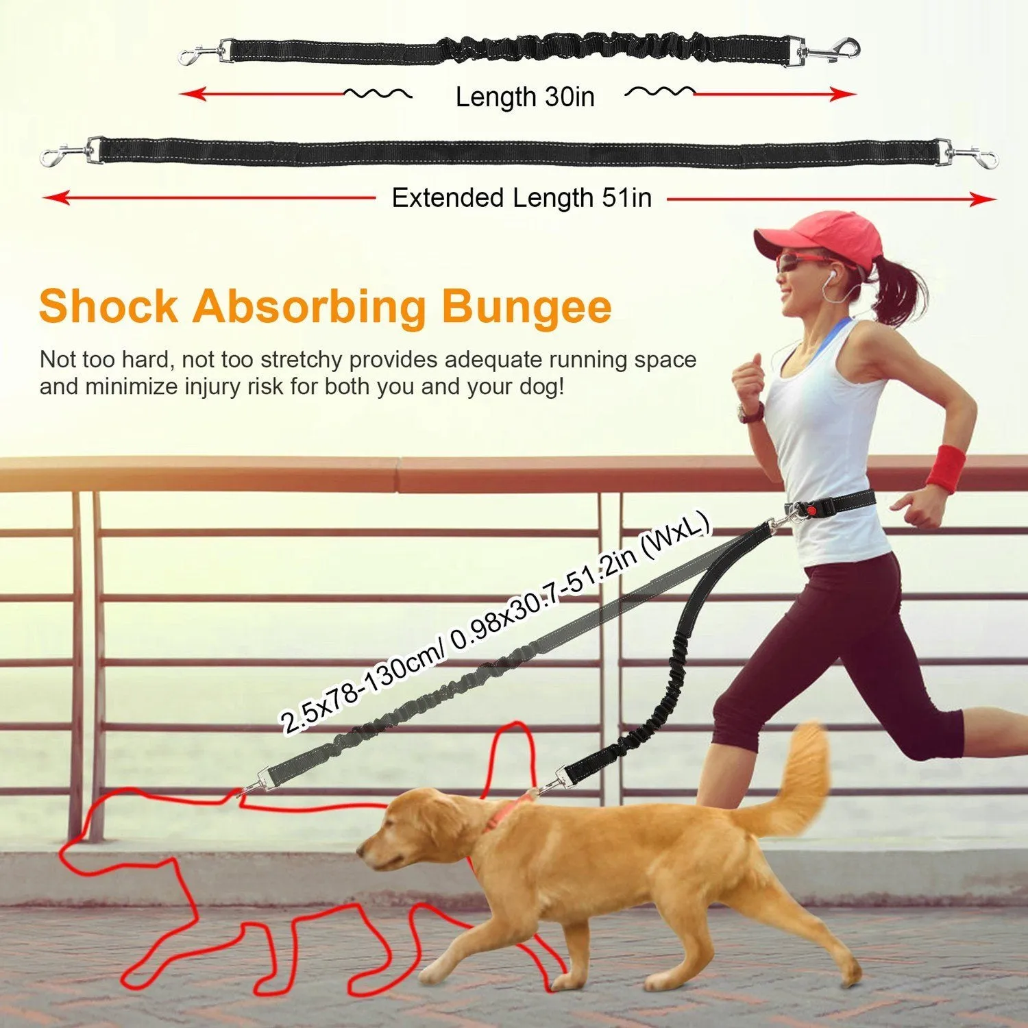 Hands Free Dogs Leash Waist Belt