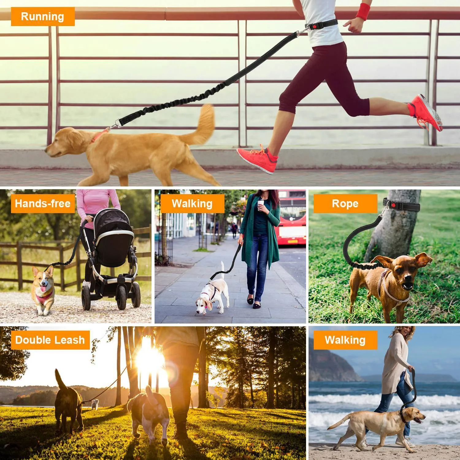Hands Free Dogs Leash Waist Belt