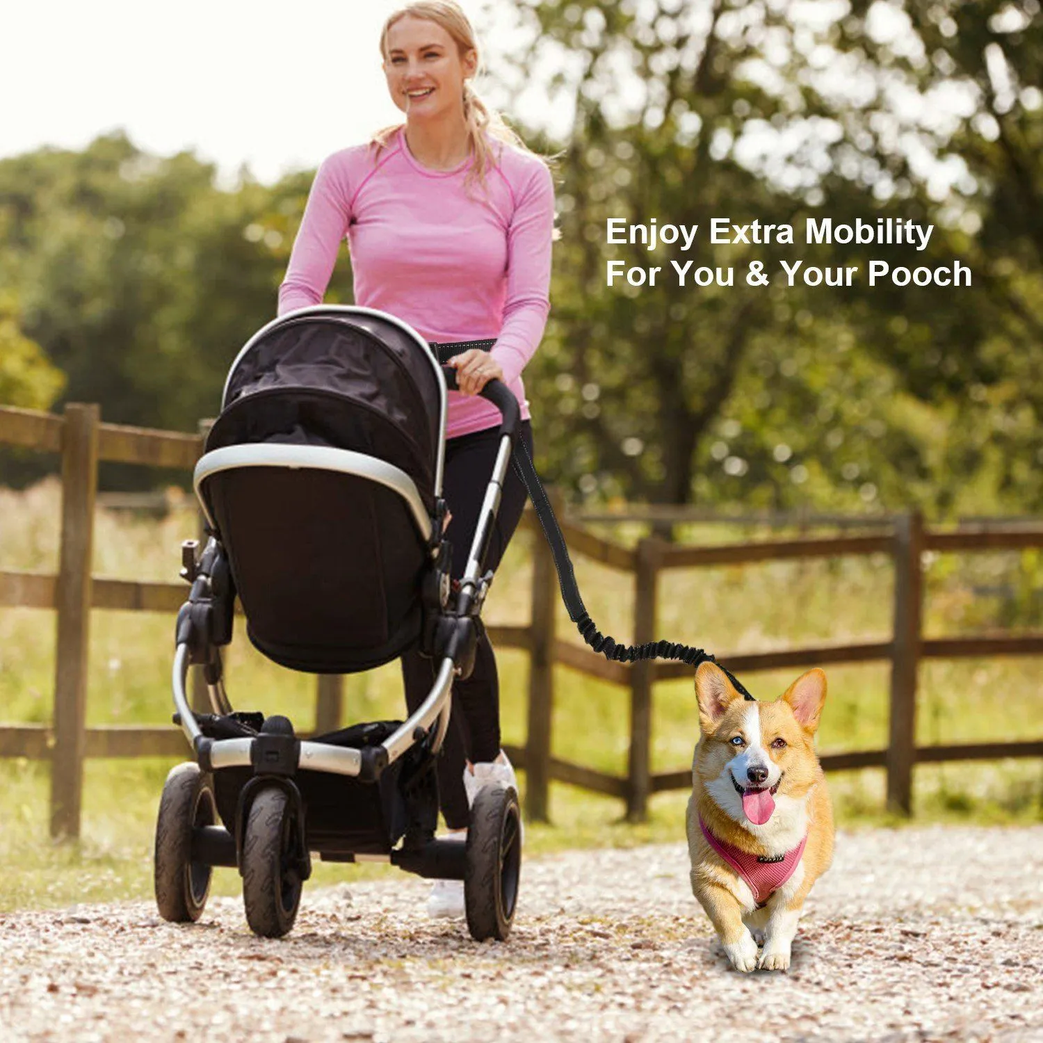 Hands Free Dogs Leash Waist Belt