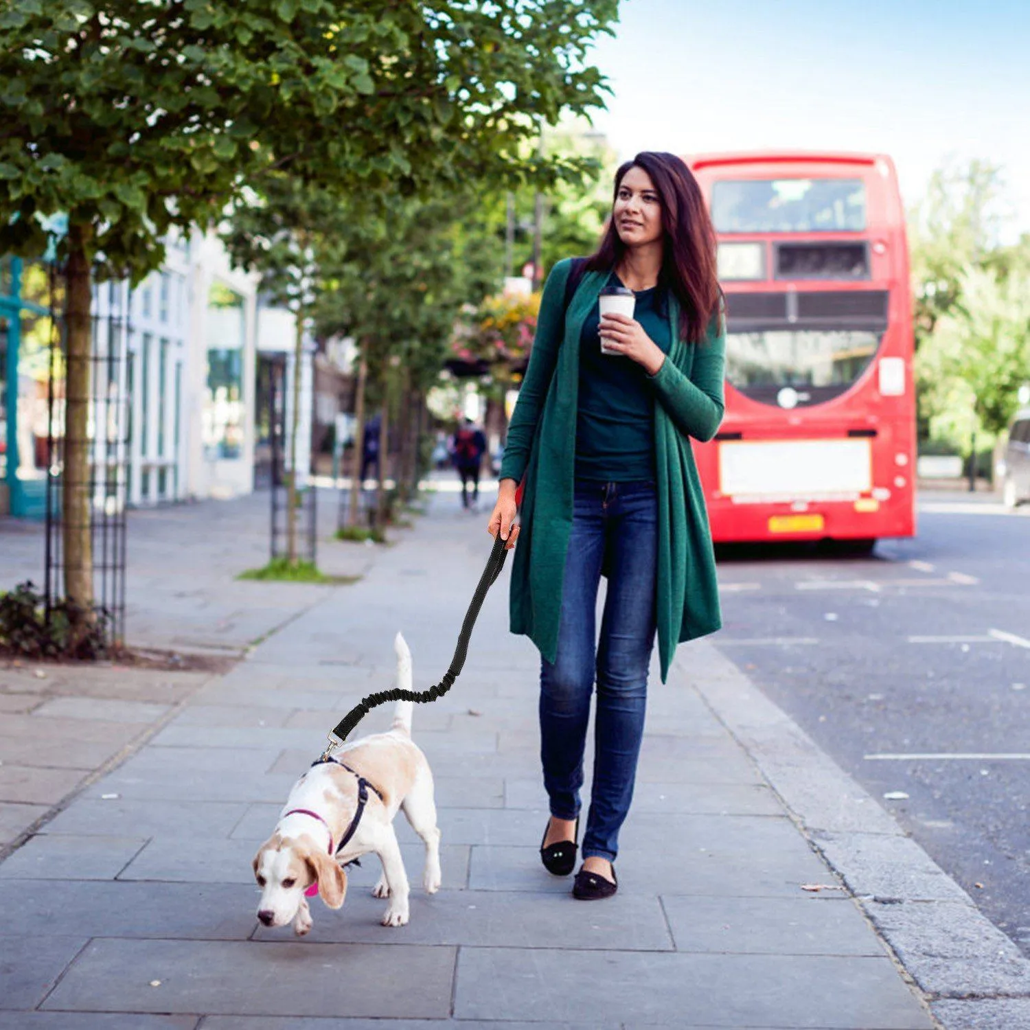 Hands Free Dogs Leash Waist Belt