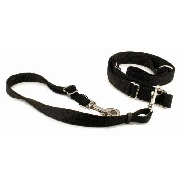 PetSafe Hands-Free Leash