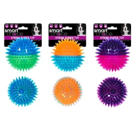 Smart Choice Rubber Ball Dog Toy With Flash & Squeak