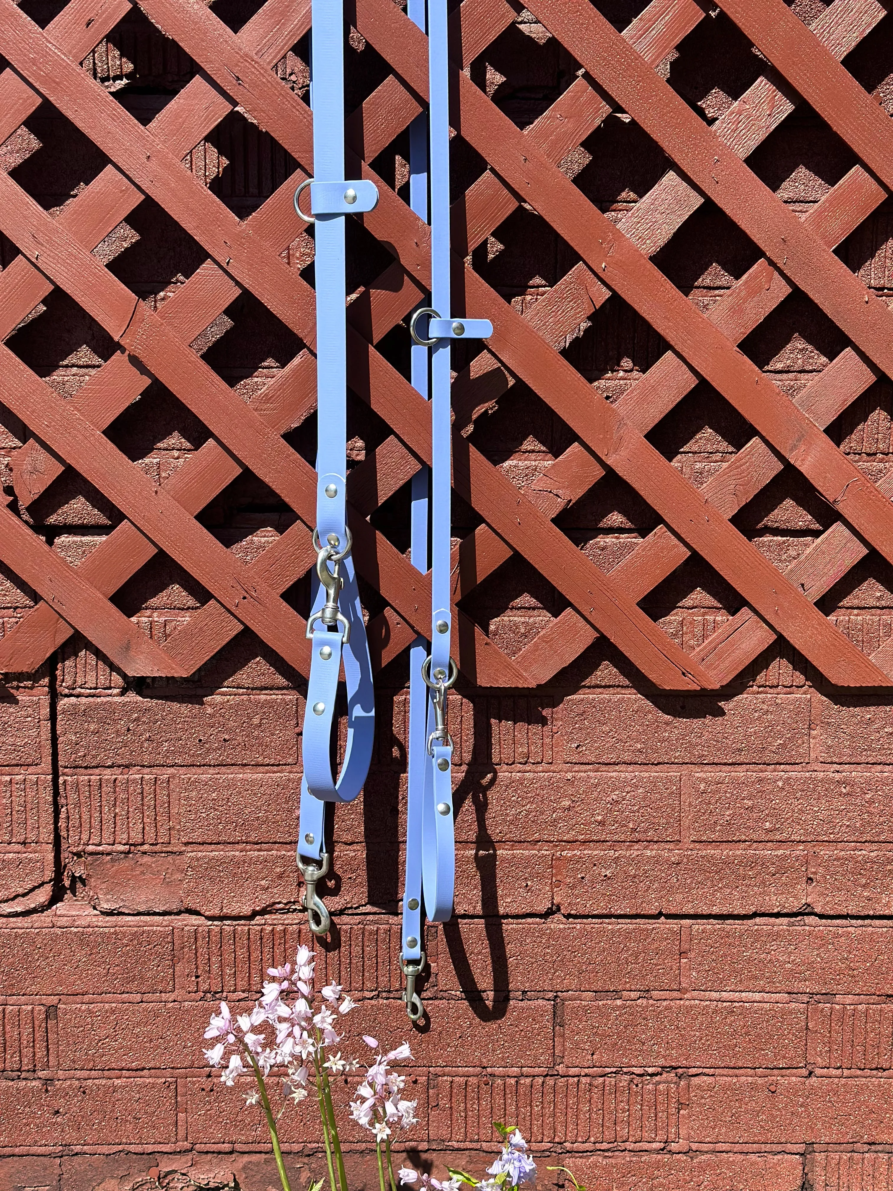 Walk By Good Boy - the Any Way Lead - Periwinkle